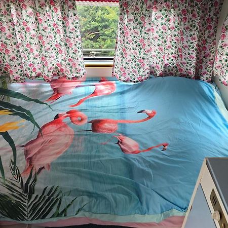 Balistyle Guesthouse Incl Hottub Near Amsterdam And Haarlem フェルゼン・ザイト エクステリア 写真